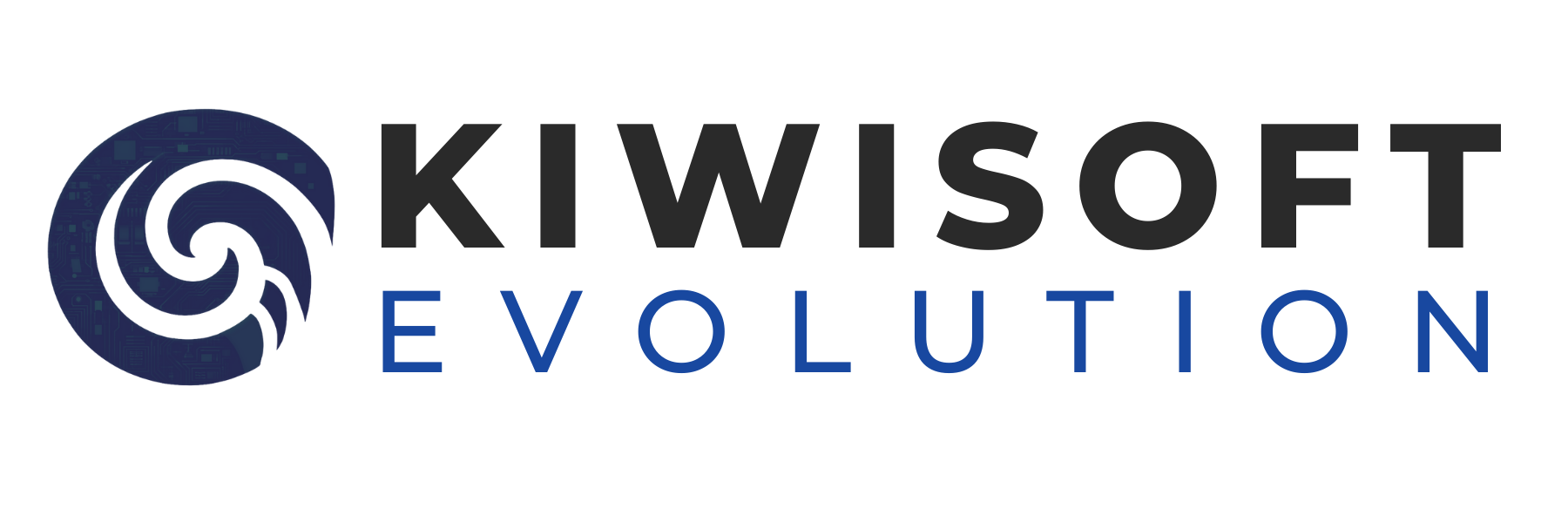 Custom Software NZ | Web Design Agency NZ | KiwiSoft Evolution NZ